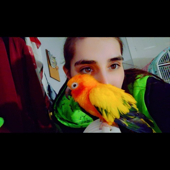 Meet your Posher, Serenity - Picture 6 of 6